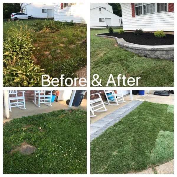 Top-rated yard maintenance with custom design across Yardley, PA - Fox Landscape Designs