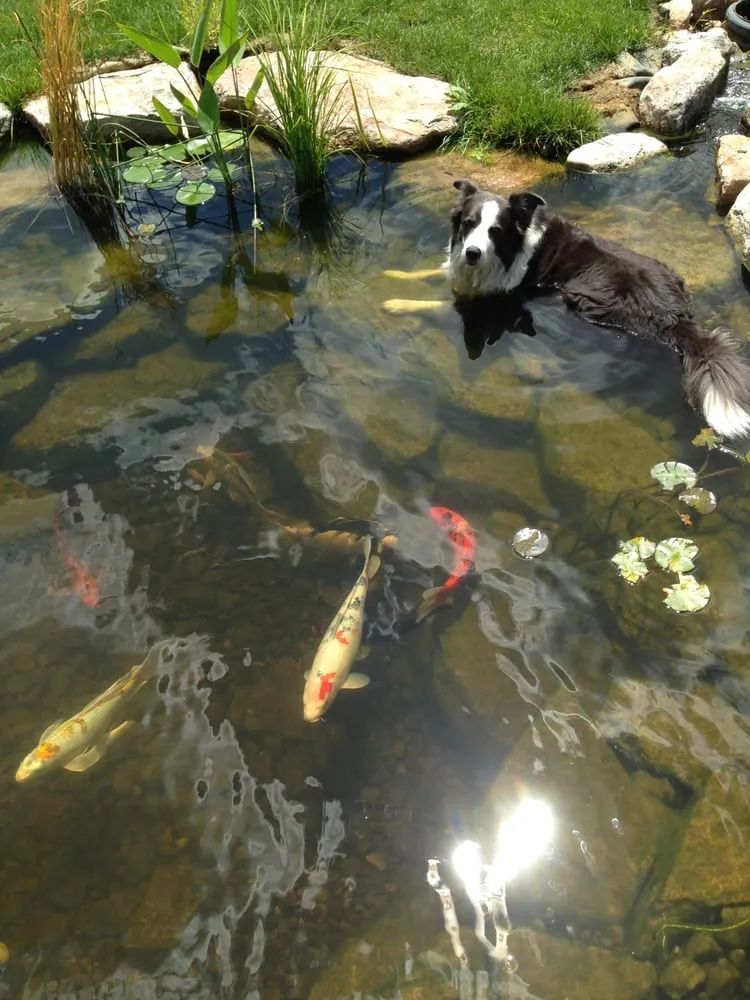 Local residential landscaping for outdoor upgrades in Yardley, PA by Fox Landscape Designs