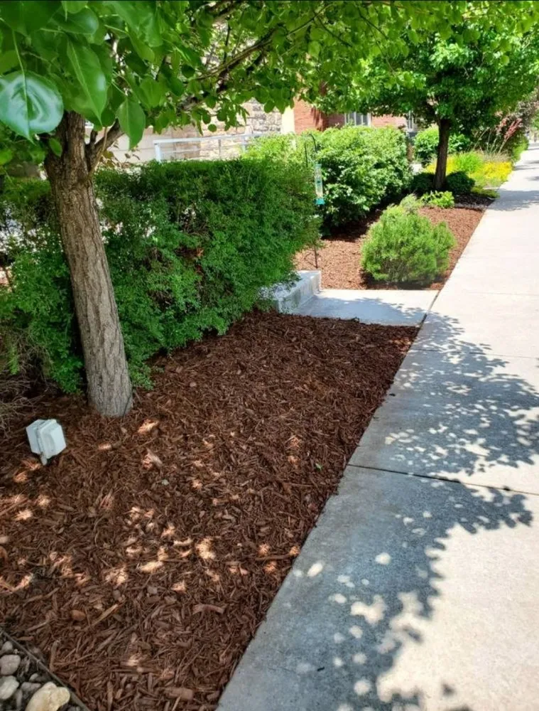 Top-rated yard cleanup service for outdoor upgrades in Brighton, CO by Fox Landscaping
