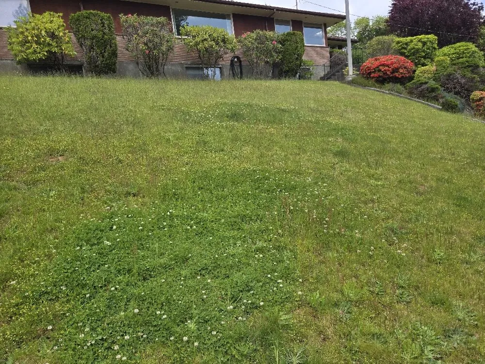 Custom outdoor landscaping for year-round maintenance across Hoquiam, WA - Fox Landscaping