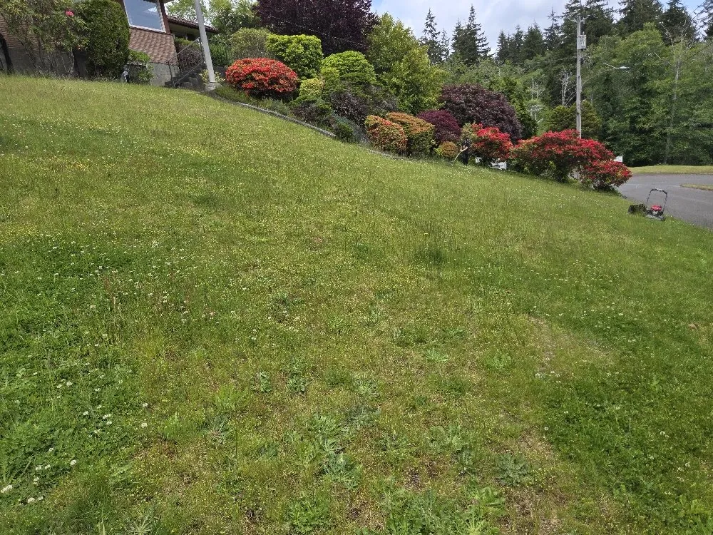 Trusted yard maintenance with custom design in Hoquiam, WA by Fox Landscaping
