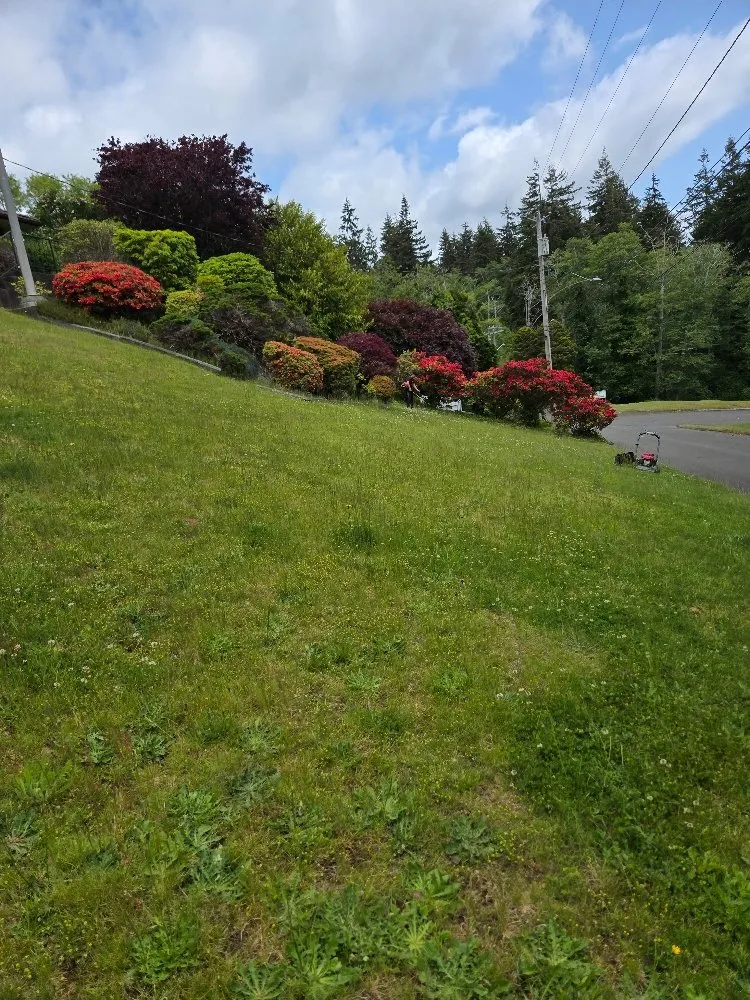 Reliable lawn care service in Hoquiam, WA by Fox Landscaping