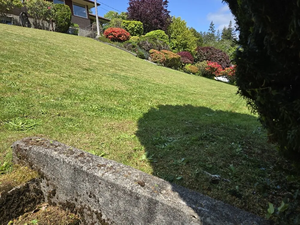 Local garden landscaping near you in Hoquiam, WA by Fox Landscaping