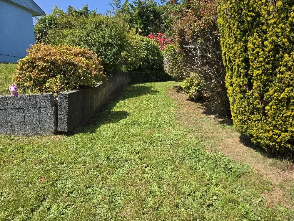 Trusted lawn mowing service with custom design in Hoquiam, WA by Fox Landscaping