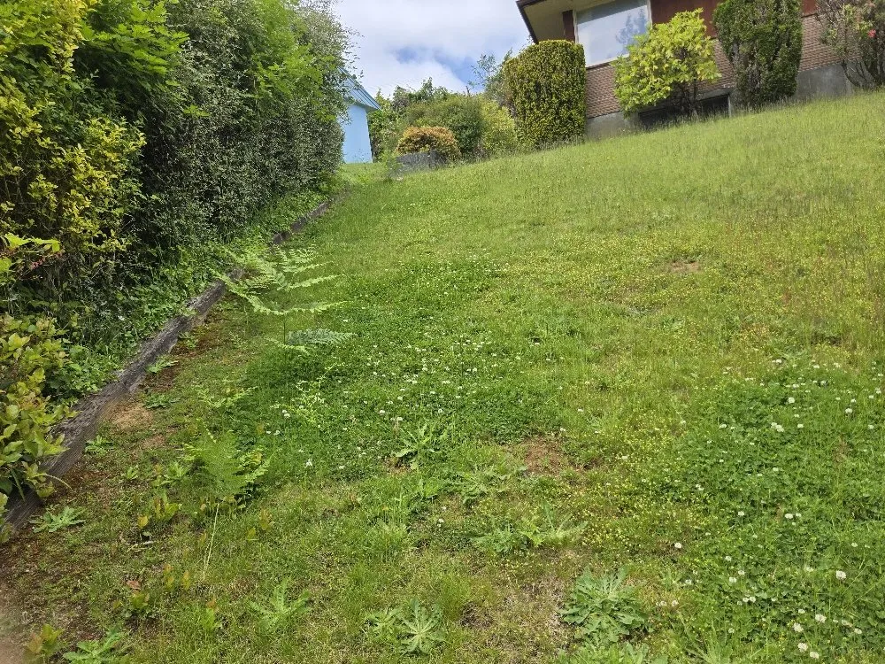 Top-rated yard maintenance experts serving Hoquiam, WA - Fox Landscaping