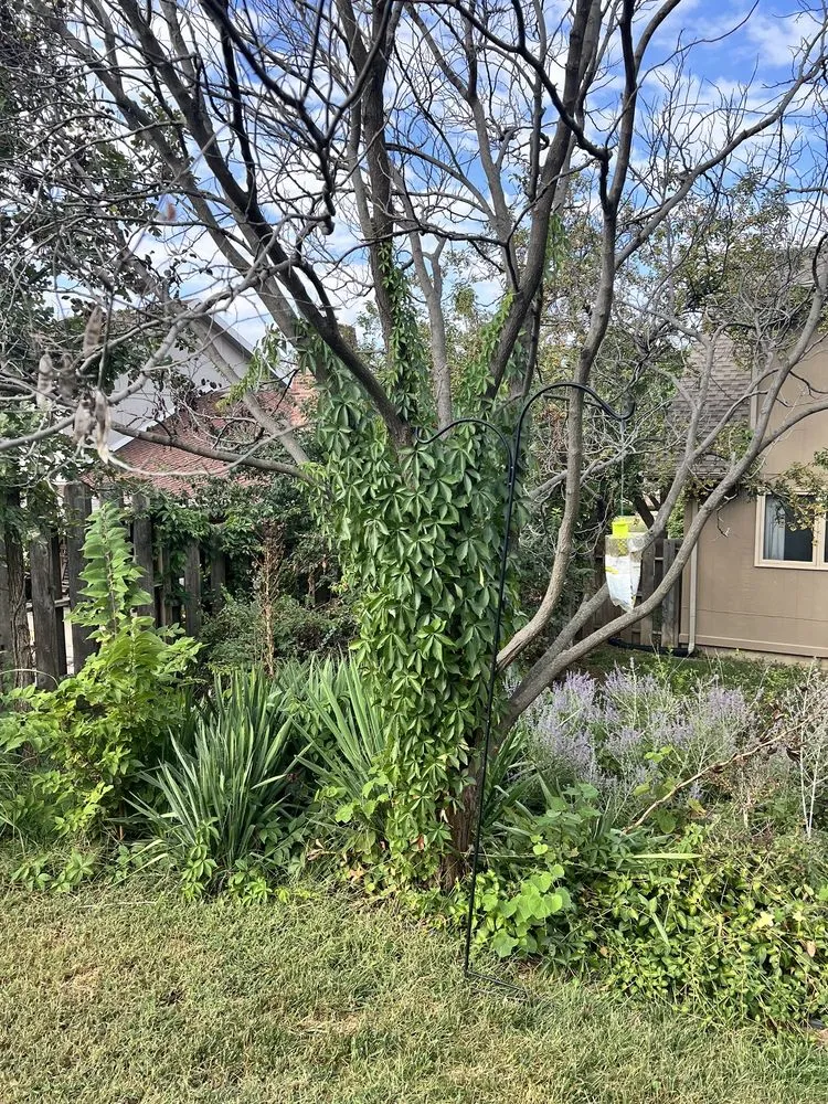 Expert garden landscaping for beautiful yards in Salina, KS by Fox Lawn & Landscape