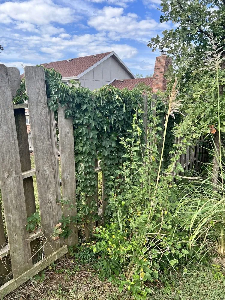 Custom landscaping services in Salina, KS by Fox Lawn & Landscape