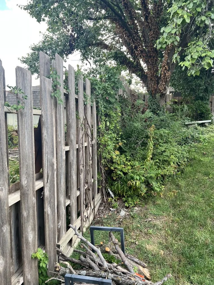 Expert yard maintenance in Salina, KS - Fox Lawn & Landscape