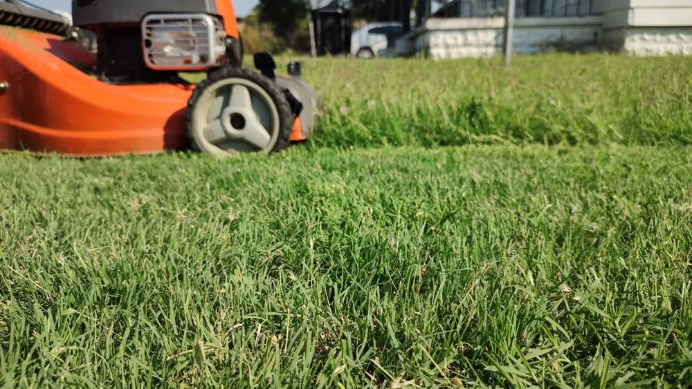 Custom lawn mowing service experts serving Great Bend, KS - Fox Lawn Care