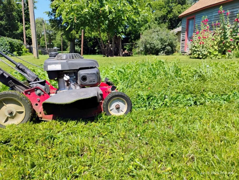 Affordable landscaping services in Great Bend, KS - Fox Lawn Care