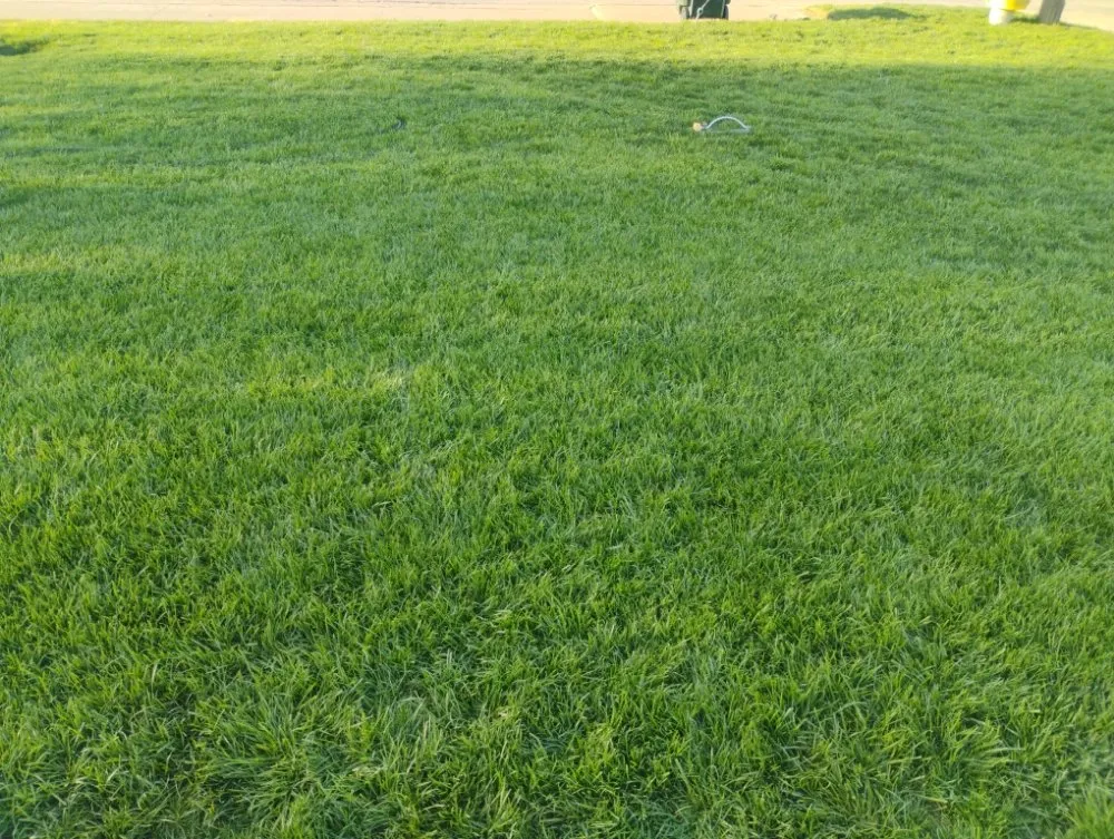 Custom landscape installation for residential properties in Great Bend, KS by Fox Lawn Care