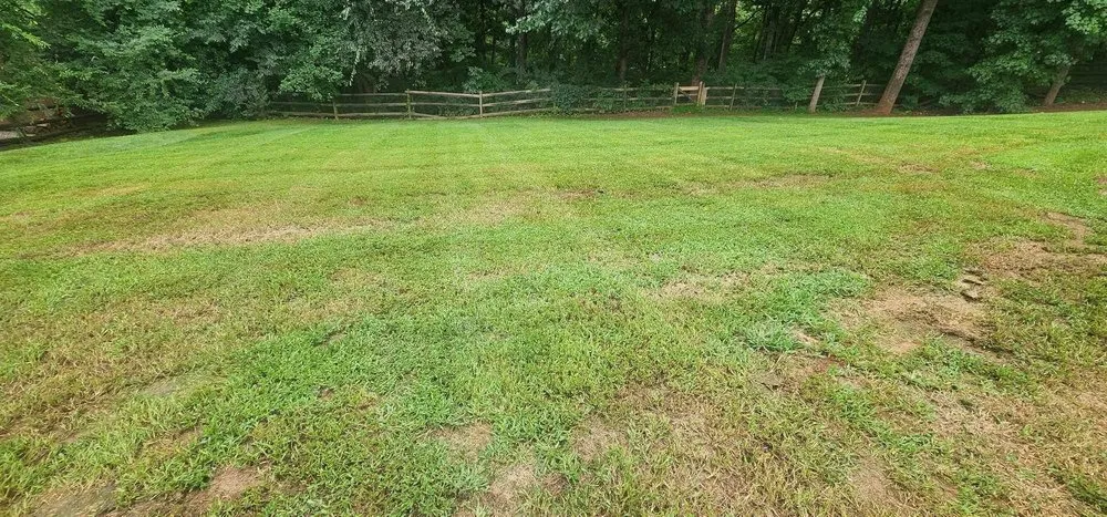 Professional lawn care service for outdoor upgrades in Concord, NC by Fox Lawncare & Landscaping