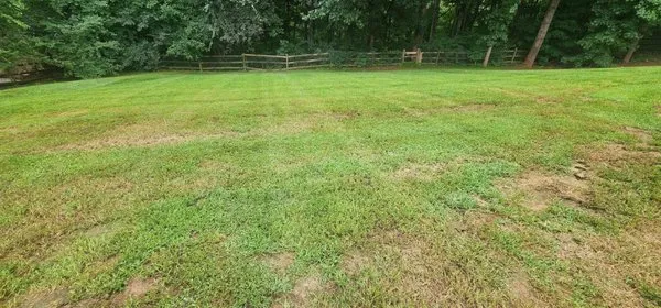 Fox Lawncare & Landscaping Logo