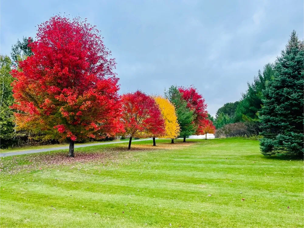 Professional landscape installation experts serving Zimmerman, MN - Fox Outdoor Service