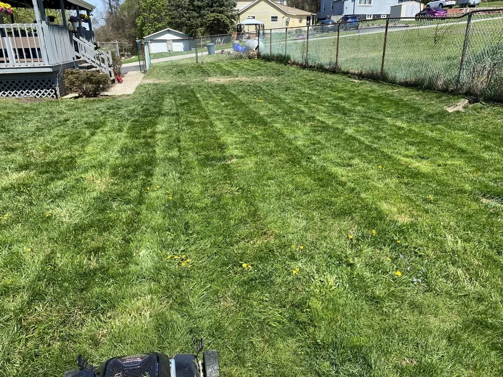 Professional landscape installation in Irwin, PA - Fox Outdoor Services