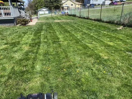 Fox Outdoor Services Logo