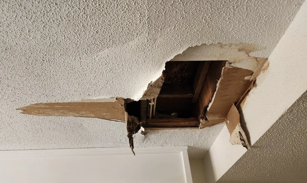 Custom yard cleanup service experts serving Decatur, AL - Fox Quality Homes