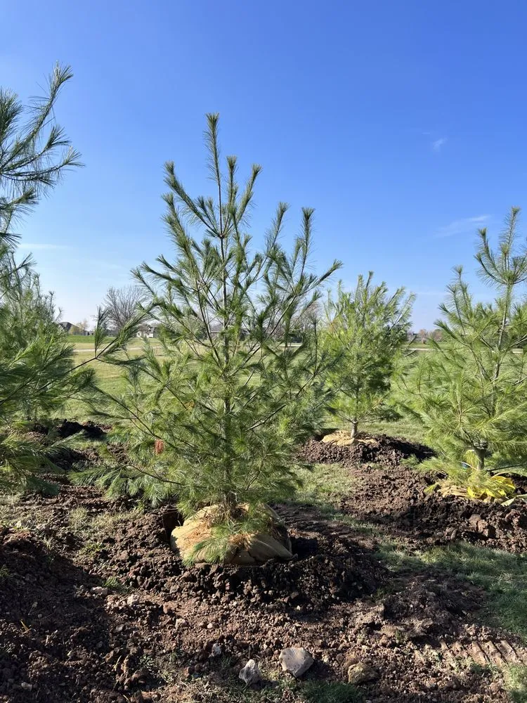 Custom landscaping services experts serving De Pere, WI - Fox River Excavation and Landscape