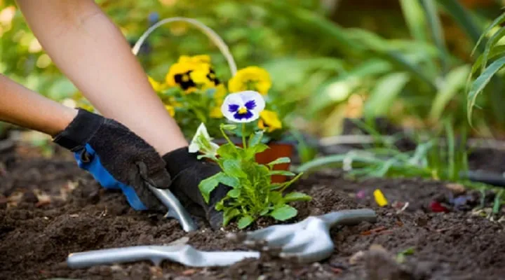 Local landscaping services experts serving West Chesheter, PA - Fox Run Landscaping & Hardscapes