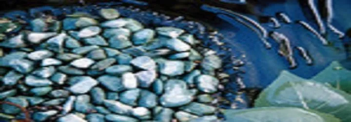 Top-rated yard cleanup service experts serving West Chesheter, PA - Fox Run Landscaping & Hardscapes