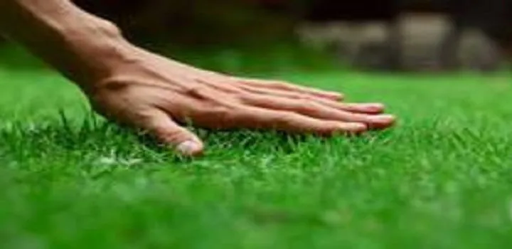 Trusted landscaping services for outdoor upgrades across West Chesheter, PA - Fox Run Landscaping & Hardscapes