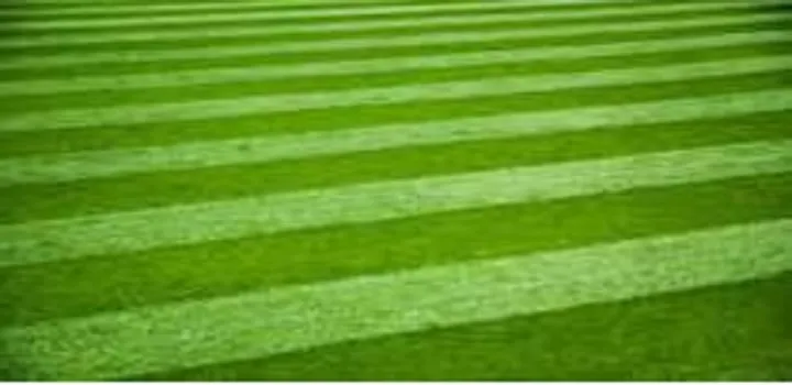 Trusted landscape design in West Chesheter, PA by Fox Run Landscaping & Hardscapes