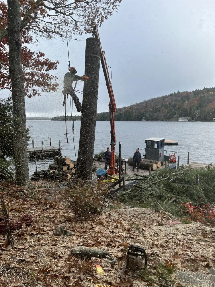 Custom landscape design in Enfield, NH by Fox Tree and Landscape Services