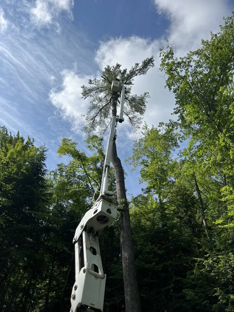 Custom residential landscaping for outdoor upgrades in Enfield, NH by Fox Tree and Landscape Services