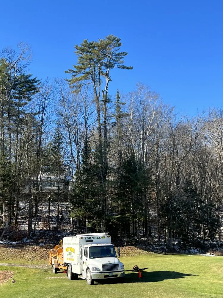 Affordable landscape design for beautiful yards across Enfield, NH - Fox Tree and Landscape Services