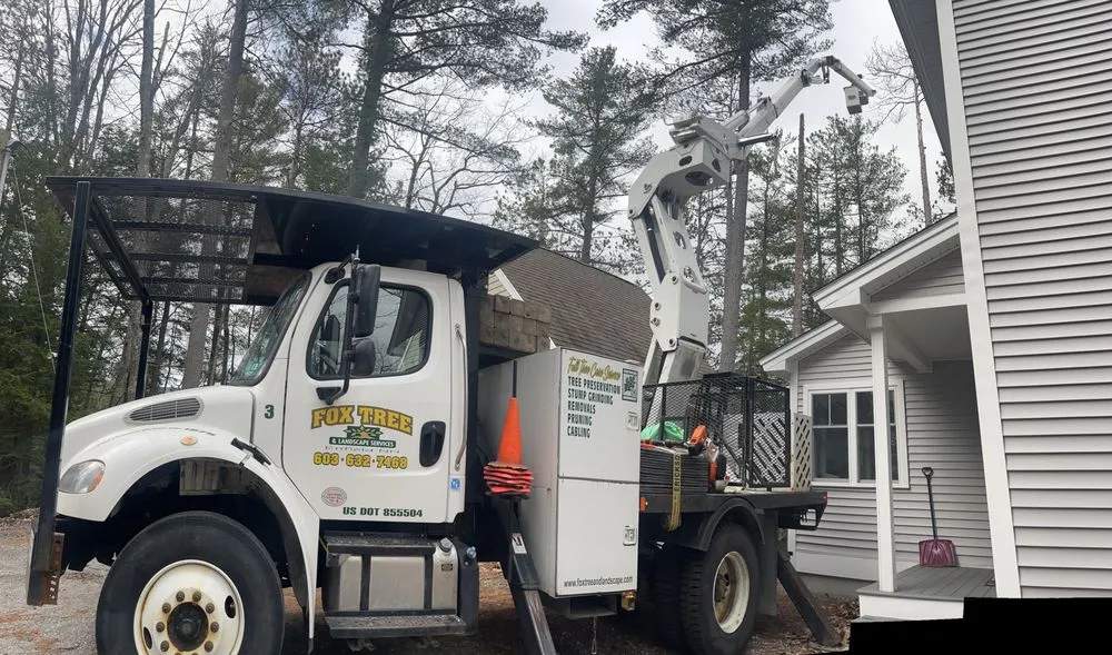 Professional residential landscaping experts serving Enfield, NH - Fox Tree and Landscape Services