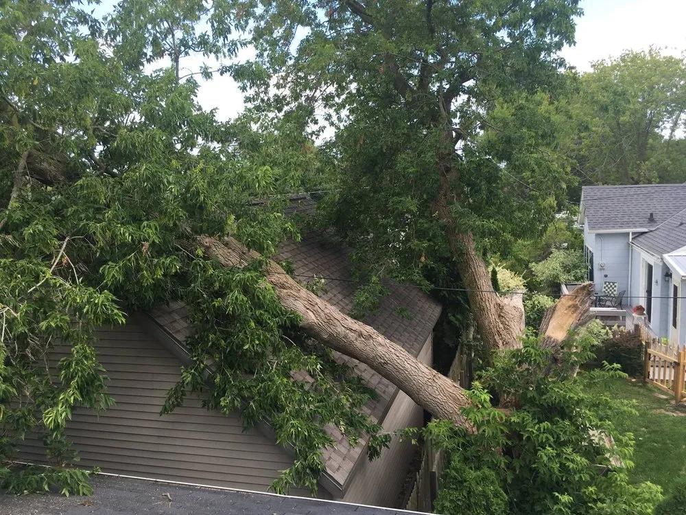 Expert landscaping services for outdoor upgrades in Neenah, WI by Fox Valley Tree Care & Landscaping