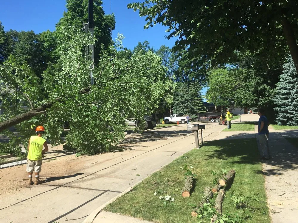 Trusted landscape installation for outdoor upgrades across Neenah, WI - Fox Valley Tree Care & Landscaping