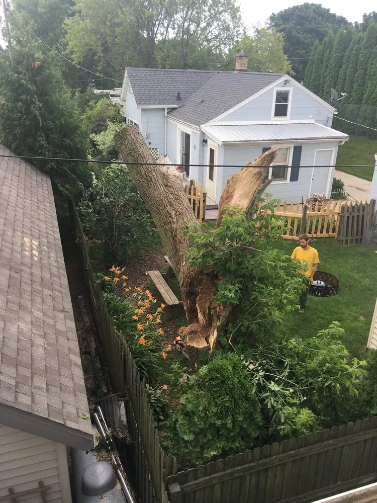 Custom lawn mowing service experts serving Neenah, WI - Fox Valley Tree Care & Landscaping