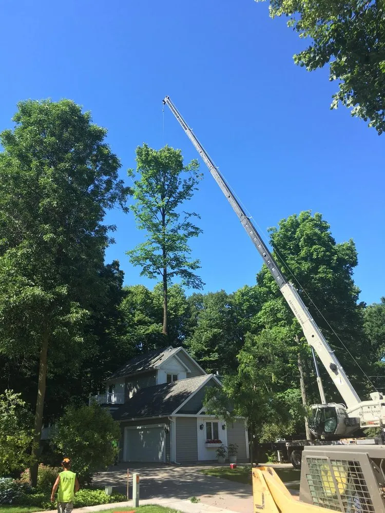 Custom yard cleanup service in Neenah, WI by Fox Valley Tree Care & Landscaping