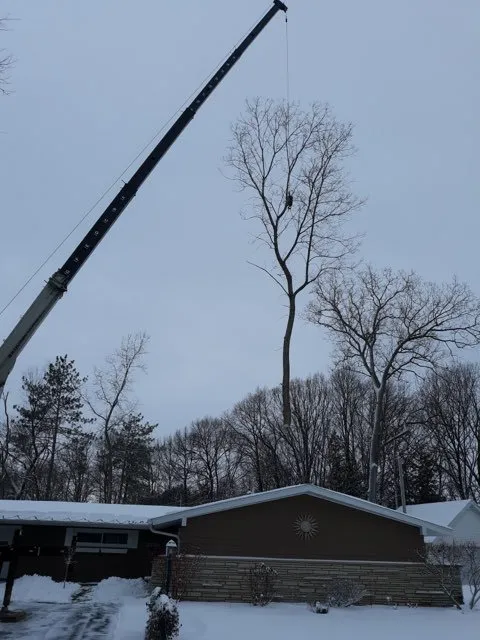 Local lawn mowing service in Neenah, WI by Fox Valley Tree Care & Landscaping