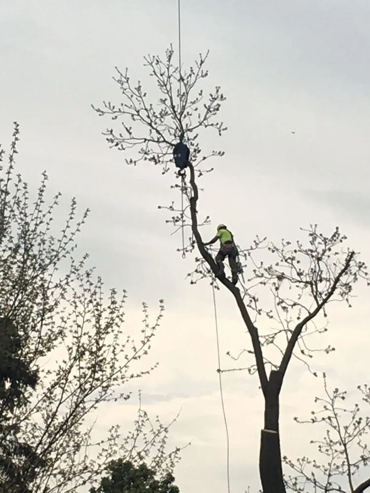 Top-rated lawn mowing service in Neenah, WI by Fox Valley Tree Care & Landscaping