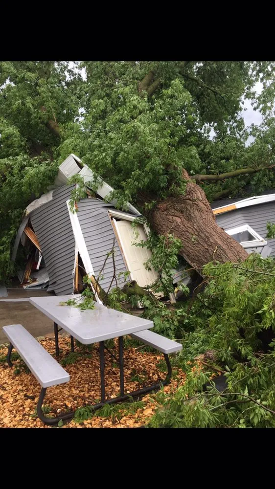 Local outdoor landscaping in Neenah, WI by Fox Valley Tree Care & Landscaping