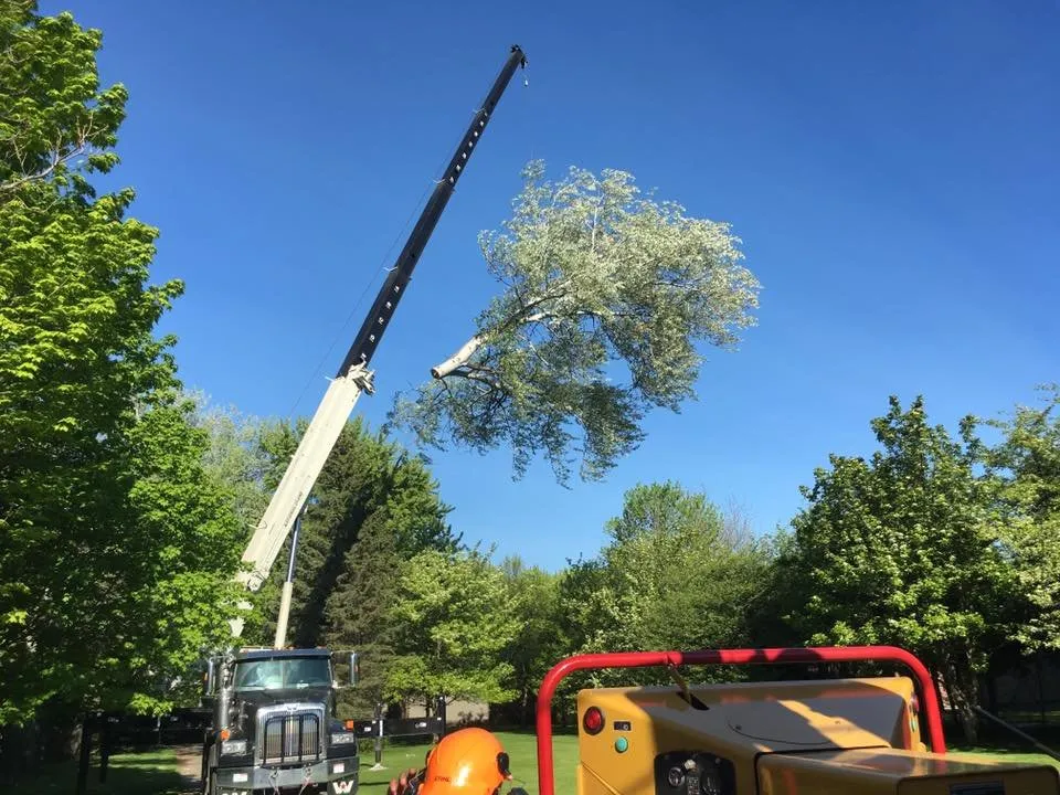 Custom lawn care service in Neenah, WI - Fox Valley Tree Care & Landscaping