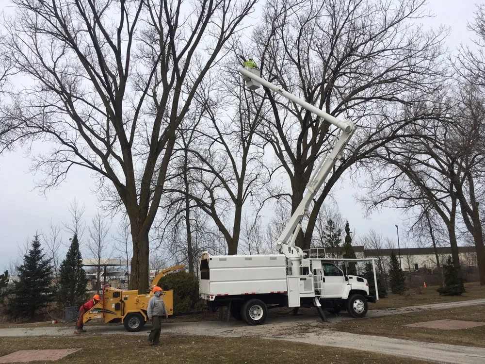 Professional residential landscaping for beautiful yards in Neenah, WI by Fox Valley Tree Care & Landscaping