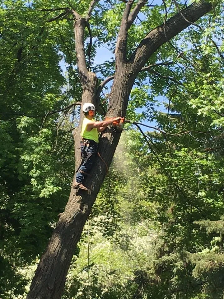 Local landscape design in Neenah, WI by Fox Valley Tree Care & Landscaping