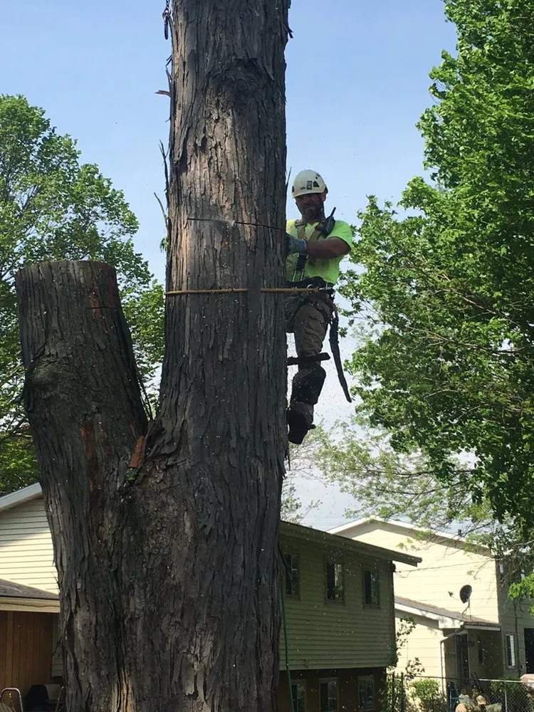 Reliable landscape design for beautiful yards across Neenah, WI - Fox Valley Tree Care & Landscaping