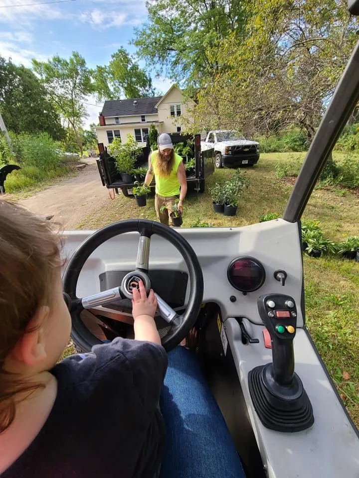 Professional landscape design for homes across Neenah, WI - Fox Valley Tree Care & Landscaping