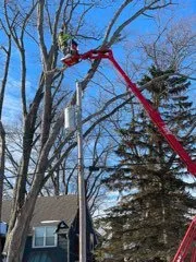 Trusted landscaping services for outdoor upgrades across Neenah, WI - Fox Valley Tree Care & Landscaping