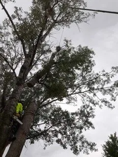 Professional lawn care service in Neenah, WI - Fox Valley Tree Care & Landscaping