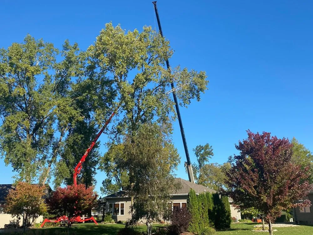 Trusted yard maintenance in Neenah, WI by Fox Valley Tree Care & Landscaping