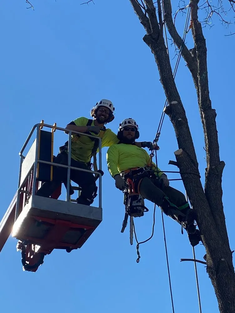 Professional outdoor landscaping for beautiful yards across Neenah, WI - Fox Valley Tree Care & Landscaping