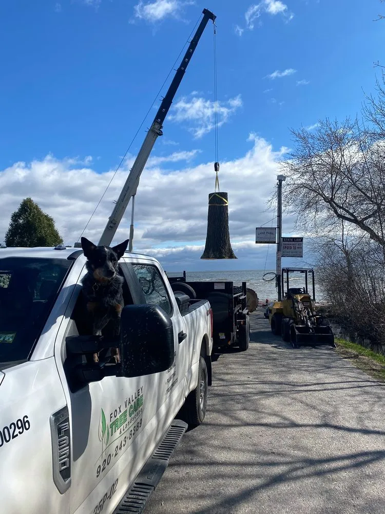 Trusted yard maintenance for year-round maintenance across Neenah, WI - Fox Valley Tree Care & Landscaping