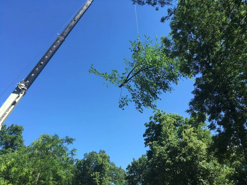 Top-rated landscaping services experts serving Neenah, WI - Fox Valley Tree Care & Landscaping