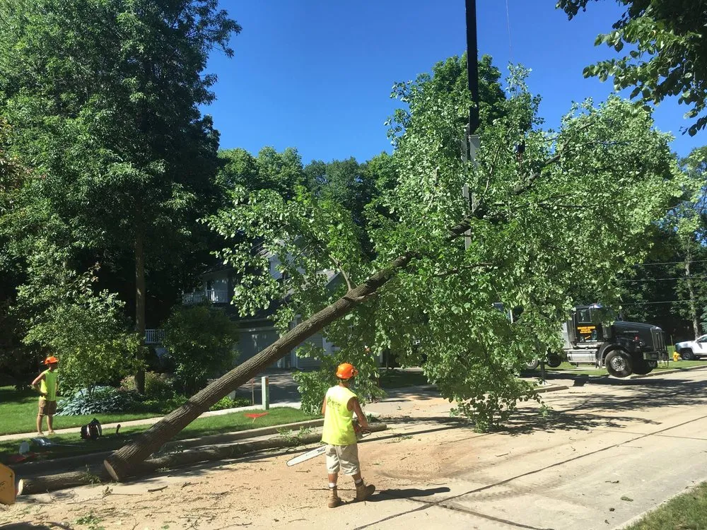 Expert lawn mowing service for residential properties across Neenah, WI - Fox Valley Tree Care & Landscaping