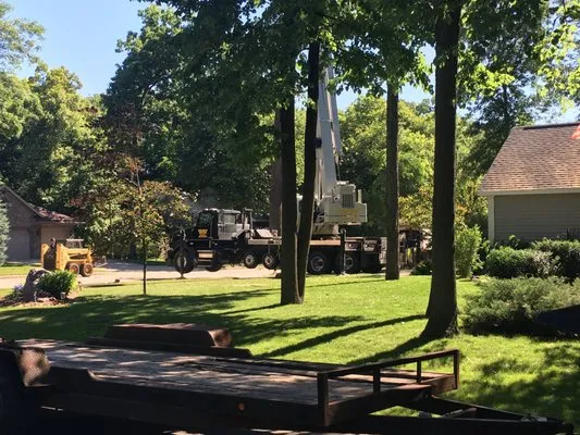 Fox Valley Tree Care & Landscaping